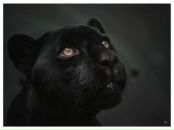 Фотография Киселевой Елены