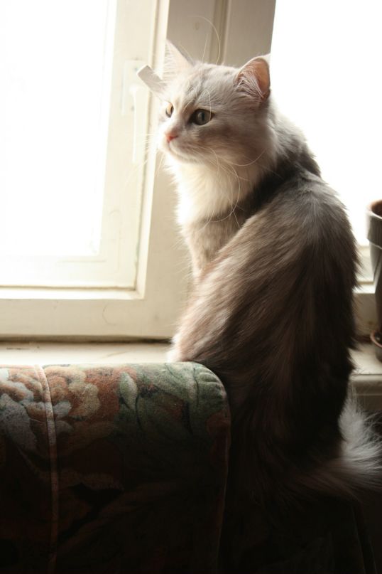 Денис Коробкин фотография #45