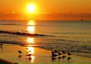 Юлія Помірча фотография #26 (источник - https://vk.com/id66832862)