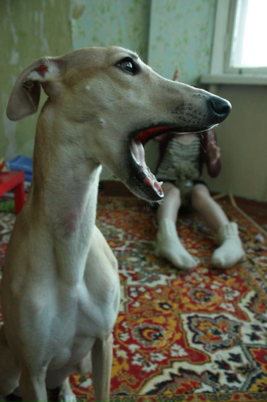 Наталья Макеева фотография #33