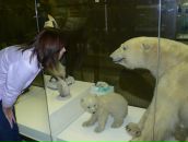 Фотография Урюпиной Ольги