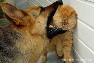 Фотография Китаева Лариса