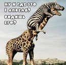 Андрій Савчик фотография #9 (источник - https://vk.com/id153675272)