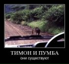 Андрій Спільник фотография #22 (источник - https://vk.com/id27485747)