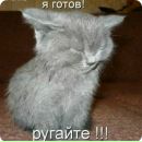 Іринка Сайкевич фотография #17 (источник - https://vk.com/id64858161)