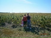 Фотография Малышкиной Оксаны