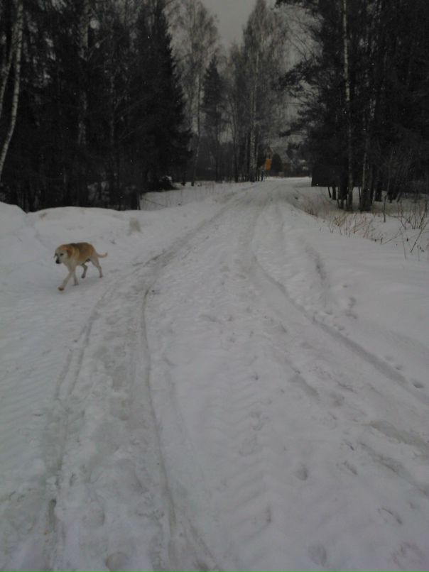 Дмитрий Костерин фотография #32