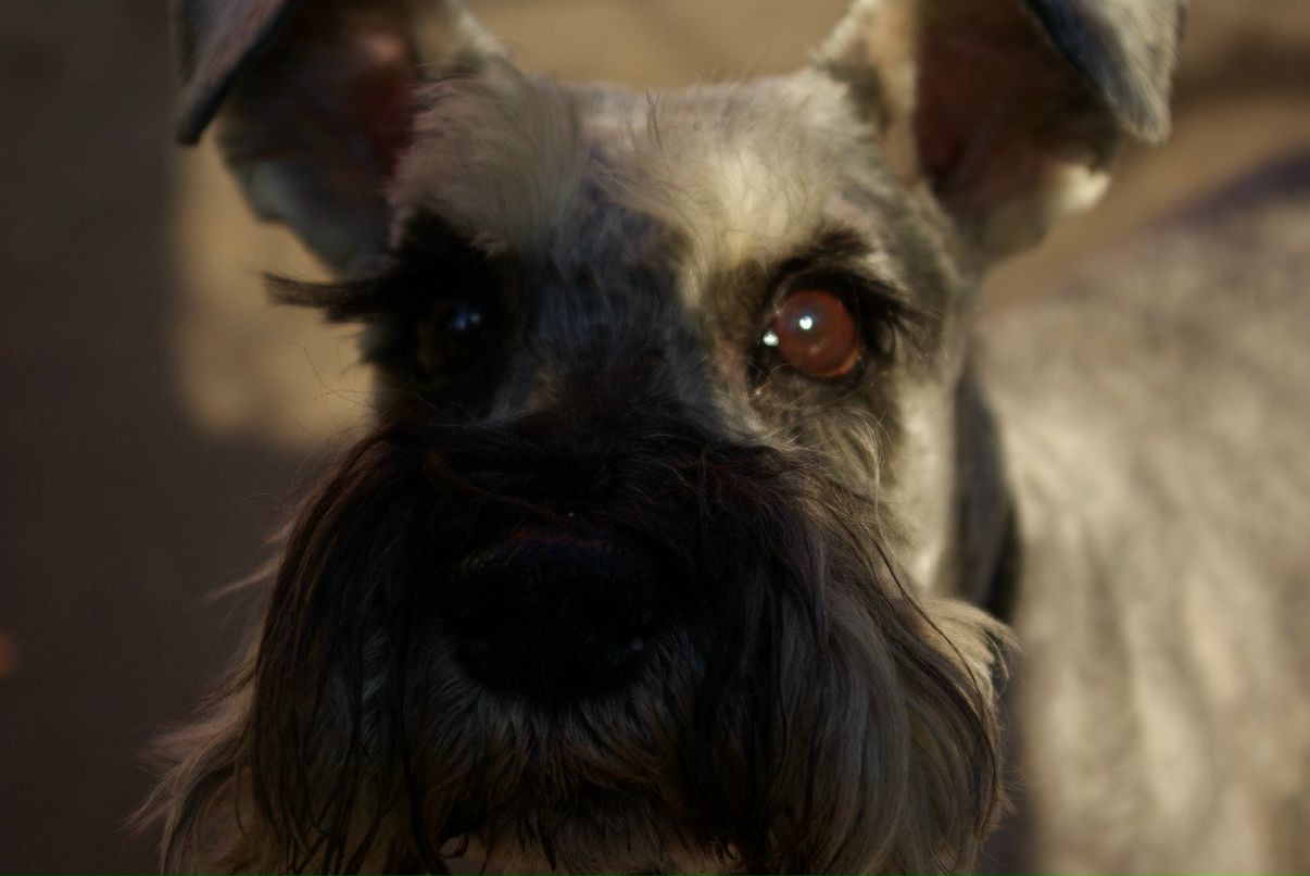 Андрей Разбаш фотография #8