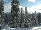 Міша Бобаль фотография #32 (источник - https://vk.com/id32813868)