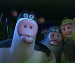 Даніель Гомоляк фотография #9 (источник - https://vk.com/id62802395)