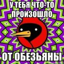 Катько Бирюкова фотография #30 (источник - https://vk.com/id26086263)