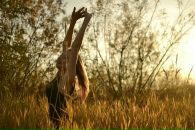 Фотография Байзель Екатерины