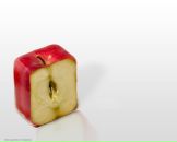 Фотография Поляковой Дианы