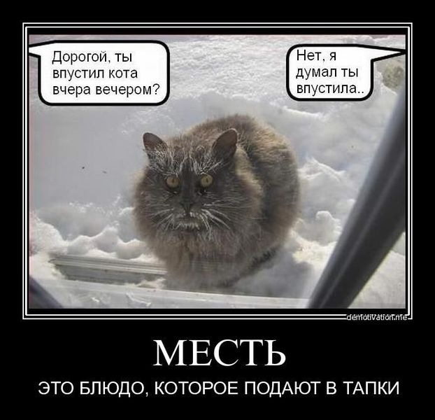 Денис Волков фотография #32