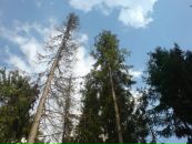 Сергій Слав'янський фотография #24 (источник - https://vk.com/id39792263)