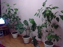 Роман Павліченко фотография #14 (источник - https://vk.com/id158223459)