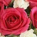 Вікторія Капля фотография #37 (источник - https://vk.com/id23414341)