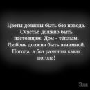 Наталія Настич фотография #47 (источник - https://vk.com/id143346170)