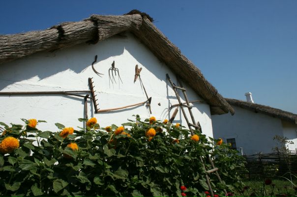 Сергей Бабенко фото №7