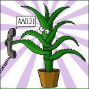 Фотография Клименко Татьяны