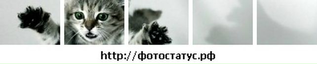 Діма Тарновський фотография #47 (источник - https://vk.com/id137885371)