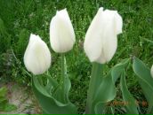 Фотография Обораловой Натальи