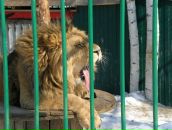 Фотография Малоштан Хелен