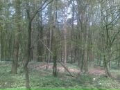 Василь Федянін фотография #19 (источник - https://vk.com/id10823318)