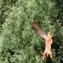 Славік Політило фотография #35 (источник - https://vk.com/id25562045)