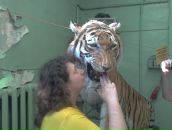 Фотография Шлепко Яны