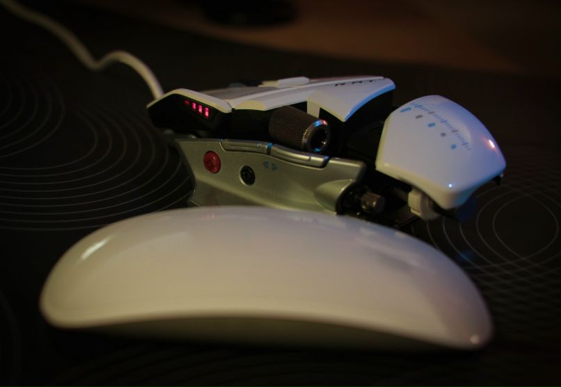 Игорь Гвоздь фотография #20