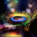 Фотография Бурхановой Альбины