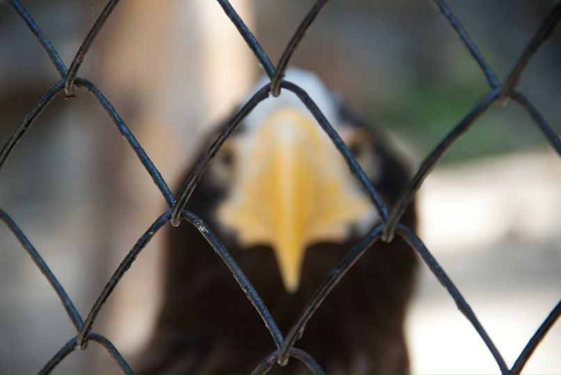 Александр Романов фотография #10