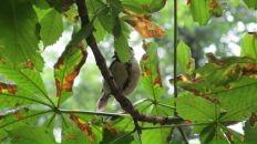 Наталія Торчинська фотография #26 (источник - https://vk.com/id11291283)