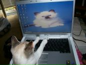 Фотография Сергеевича Игоря