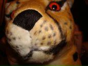 Світлана Побережна фотография #30 (источник - https://vk.com/id56759190)