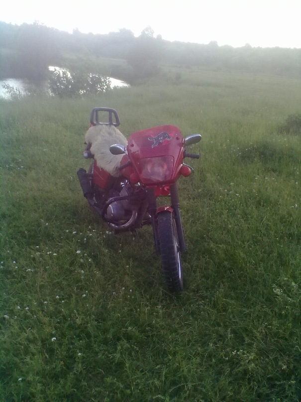 Николай Осипенко фотография #3