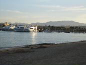 Елена Ус фотография #11 (источник - https://vk.com/id6732759)