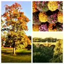 Kelly Guthrie фотография #16 (источник - https://vk.com/id89395520)