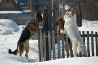 Фотография Никитиной Насти