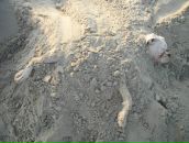 Anuta Hands фотография #18 (источник - https://vk.com/id1373359)