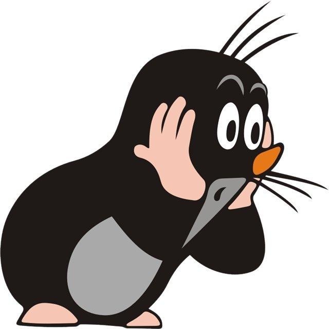 Андрей Саватеев фотография #9