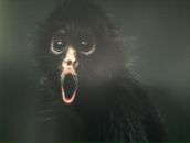 Фотография Васильевой Татьяны