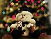 Оля Тимофійчук фотография #37 (источник - https://vk.com/id117567977)