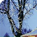 Валентина Ілащук фотография #14 (источник - https://vk.com/id62162814)