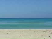 Ольга Шабаева фотография #45 (источник - https://vk.com/id2282910)