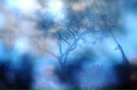 Фотография Татьяненко Кристины