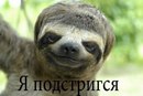 Фотография Евстигнеева Дмитрия