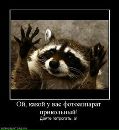 Назар Бабій фотография #18 (источник - https://vk.com/id134055137)