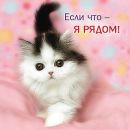 Алінка Соколова фотография #29 (источник - https://vk.com/id158517041)
